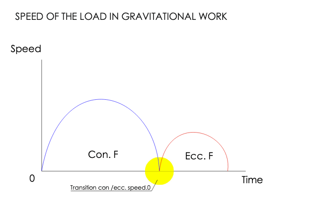 SPEED OF THE LOAD IN GRAVITATIONAL WORK